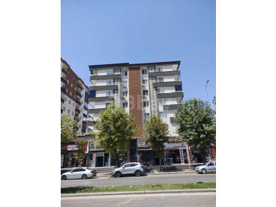 3 Bay Eyüp ŞAHİN'den mücahitler de cadde üstü 3+1